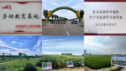 中國農大涿州農業科技園區入選全國科普教育基地，助力農業科學新發展