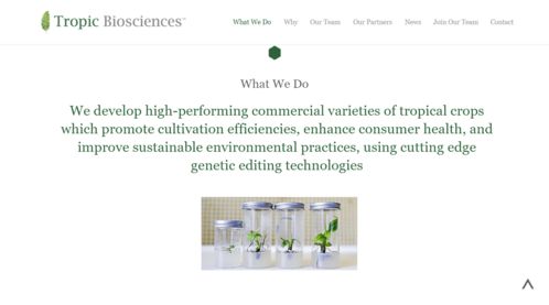 熱帶基因點亮未來 Tropic Biosciences完成2850萬美元B輪融資，引領農業科技變革